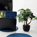 Apartamenty Silver 4